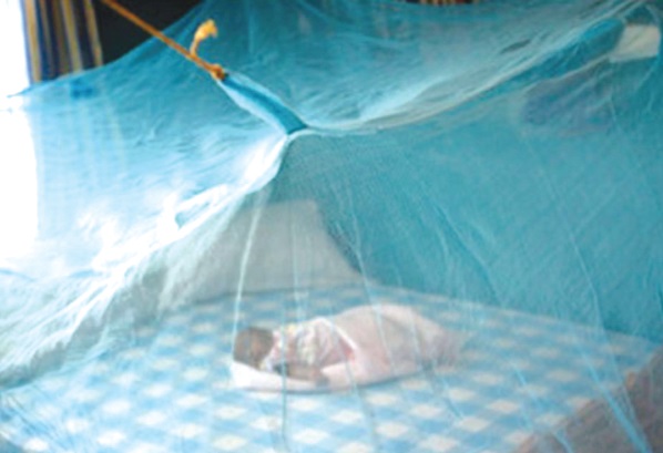Malaria prevention