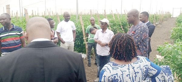 Takyi Sraha, (in cap) Chief Operating Officer, GIRSAL briefing some visitors to the farm