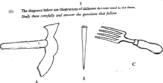 Ambiguous diagram for BECE Integrated Science Examination