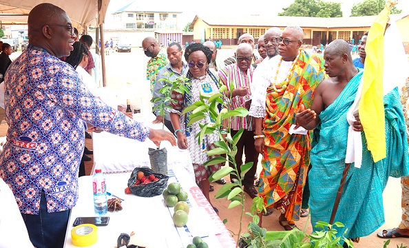 Dr Steven Torkpo (left), Senior Research Fellow, Forest and Multicultural Research Centre, exhibiting some organic citrus fruits and plants during the Scientific Renaissance of Africa Day Celebration. Looking on are Godfred Ashie Dzanie (2nd from right), acting Regent, La-Bawaleshie Traditional Council, and some dignitaries.  Picture: ELVIS NII NOI DOWUONA