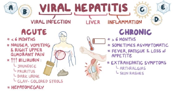 Hepatitis the silent killer - Protect your liver 