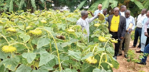 Issah Sulemana (arrowed), Chief Executive, TRAGRIMACS, with some officials at a demonstration farm of the Crop Science Department of the University of Ghana. Picture: Nana Konadu Agyeman