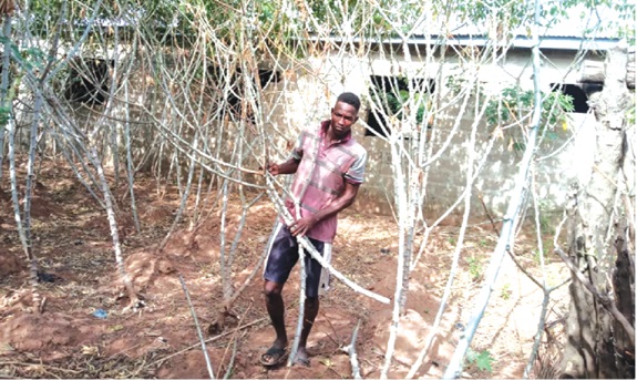 Alhassan Mutaru in his backyard garden