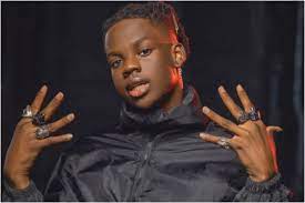 Rema cancels all December shows to focus on health