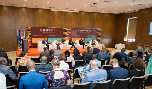 RENEWPAC Summit in Dakar: Liberals and Democrats unite for sustainable development