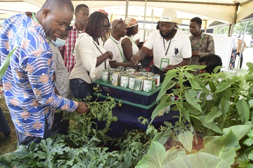 Prospective buyers at one of the stands at the launch of the Home Gardening Initiative in Accra last Friday.Picture:EMMANUEL QUAYE Prospective buyers at one of the stands at the launch of the Home Gardening Initiative in Accra last Friday.Picture:EMMANUEL QUAYE
