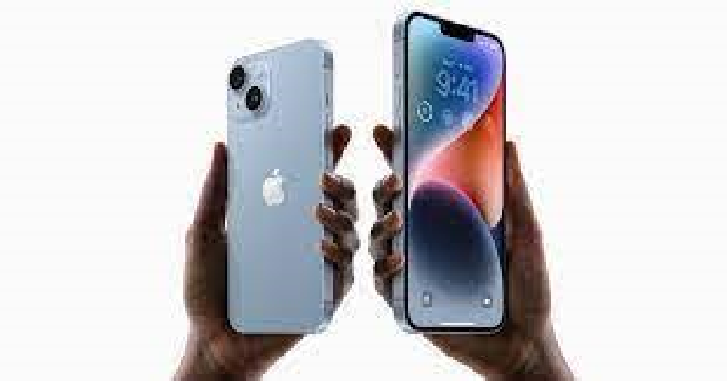 Apple sales in biggest fall since 2019