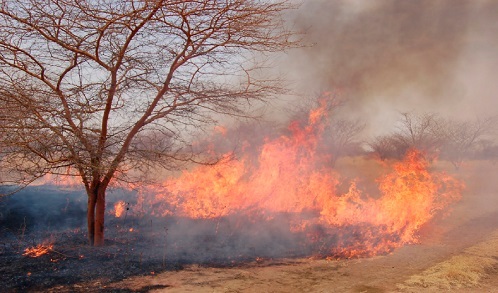 Bushfires destroy crops, reserves in Bono East