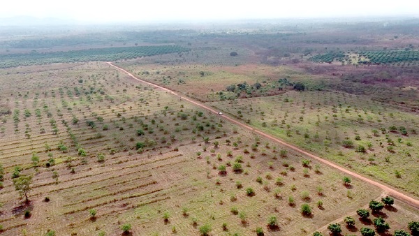 Tesyd Farms making inroads in Volta