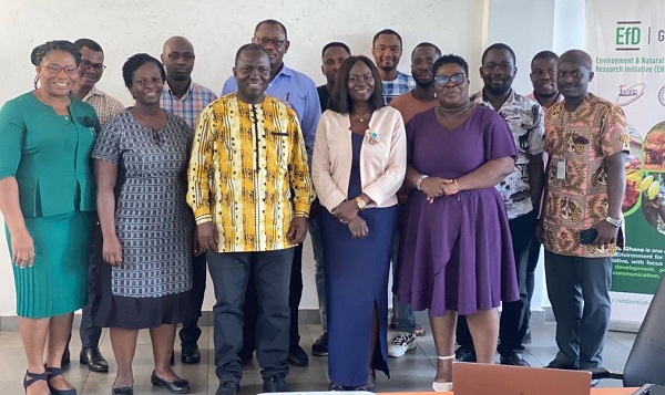Withdraw subsidies on premix fuel - Prof. Akpalu to govt - Vimarsana News