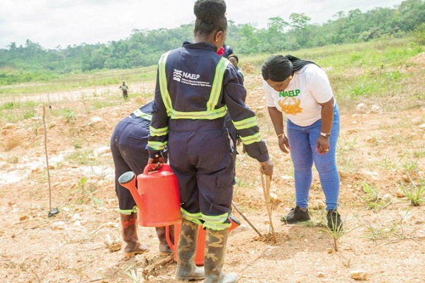 Dr Louise Carol Serwa Donkor (right), the National Coordinator of NAELP, leading her team to plant seedlings on a reclaimed land