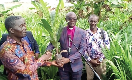 Rev. Dr Seth Kissi (middle), Chairman of the Akyem Abuakwa Presbytery, presenting one of the seedlings to a church member