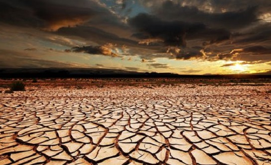 Integrate nature-based solutions into climate policies - Environmentalist advocates