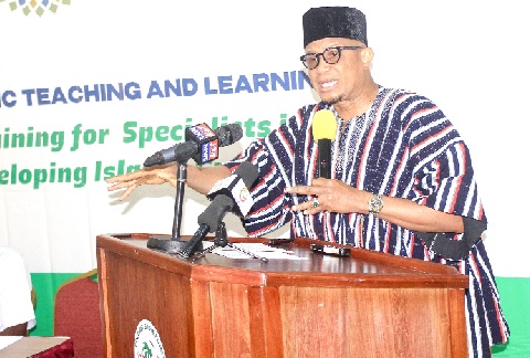 Dr Mustapha Abdul-Hamid, CEO, National Petroleum Authority, delivering his address. Picture: ERNEST KODZI