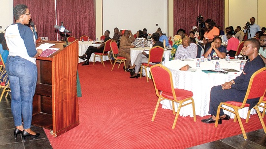 Dr Leticia Adelaide Appiah, Executive Director, National Population Council, addressing participants in the event. Picture: ERNEST KODZI
