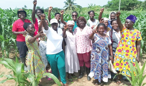 Women form a critical part of the project to ensure food security. Victoria Dansoa Abankwa (2nd from left), the KEEA Municipal Director of Agriculture, with women farmers who are part of the project