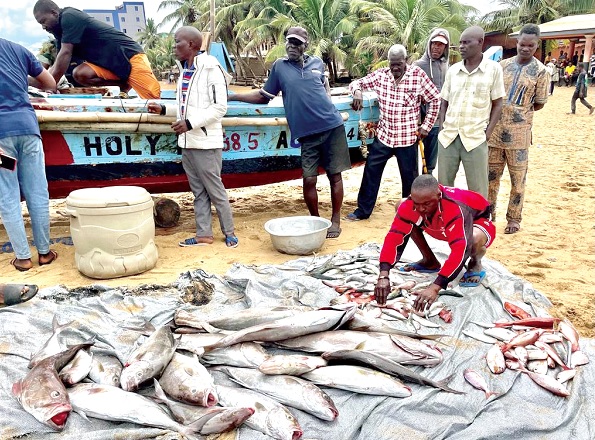Some of the fish retrieved from the fishermen who went fishing during the closed season