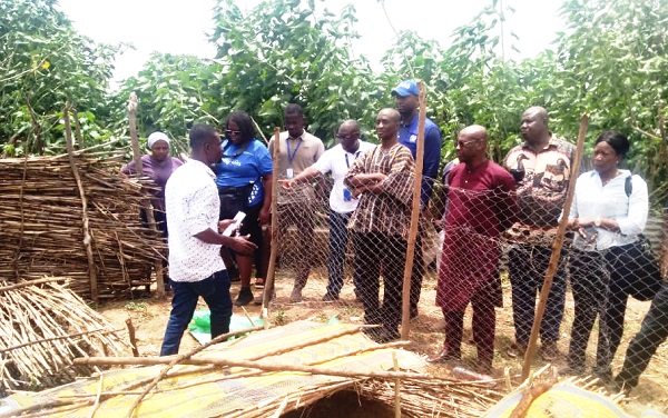 Officials inspecting one of the nurseries