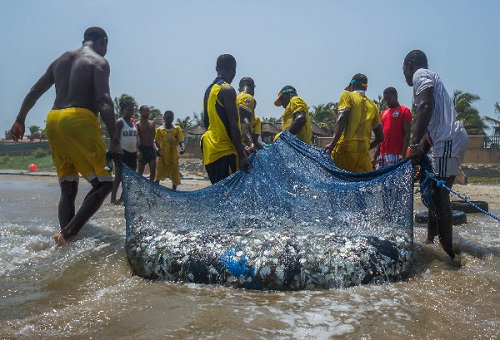 File Photo: Some fishermen pulling the catch from the sea