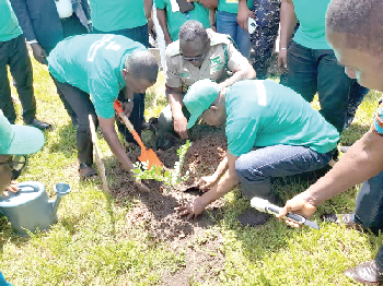 Alban Kingsford Sumana Bagbin, Speaker of Parliament, being assisted to plant a tree