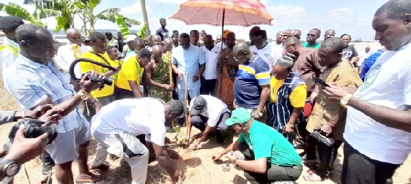 Stop indiscriminate tree felling - New Juaben Omanhene charges public - Vimarsana News