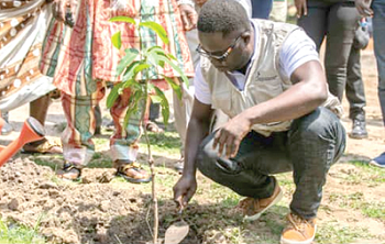  Kobina Yeboah Okyere, National Director of Compassion International Ghana, planting a tree at the exercise