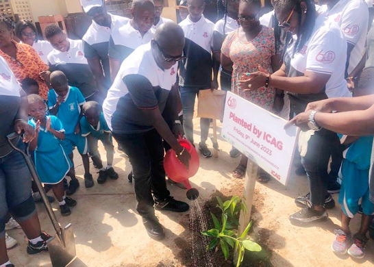 Kwasi Agyemang, CEO of ICAG, watering the plant
