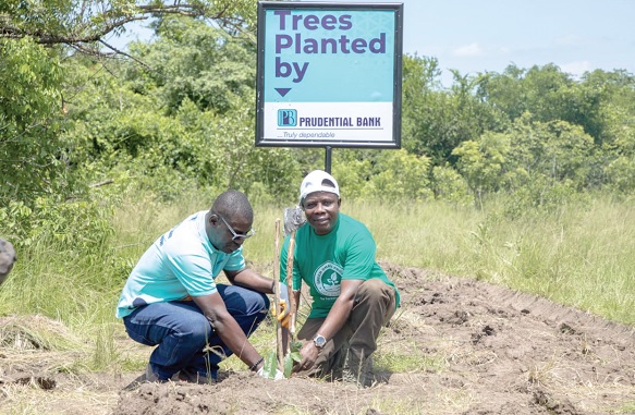Bernard Gyebi (left), Managing Director, Prudential Bank, being assisted to plant a tree