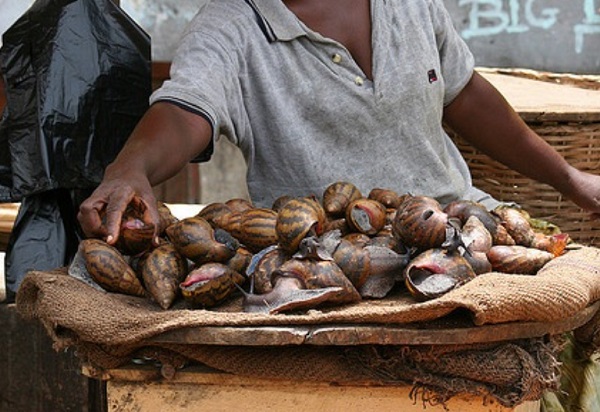 FILE PHOTO: Snails are a delicacy in Ghana