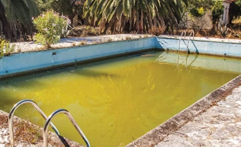 Two siblings drown in abandoned pool
