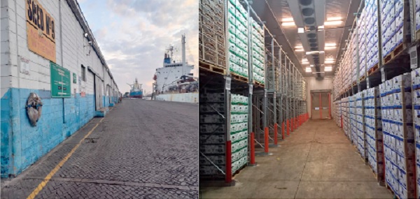 Resolving the issue of management of the Fruit Terminal at Tema Port (SHED 9)