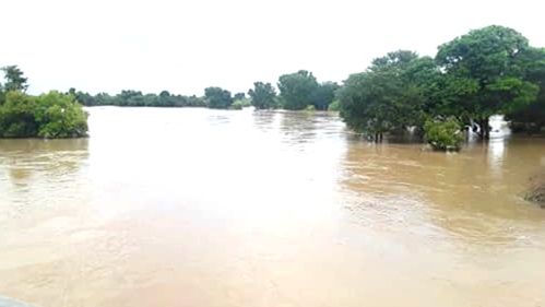 Some flooded farms in the North-East Region  