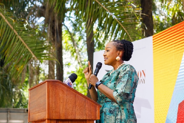 We must create entrepreneurship, innovation hubs within schools — Constance Swaniker