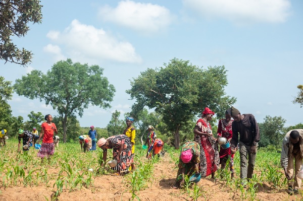AGRA commends Ghanaian farmers for their dedication and resilience 