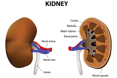 Galamsey and the sudden rise of kidney failures