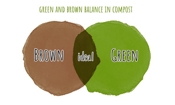 Green or Brown?