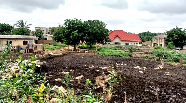 The ranch which has generated controversy. The ranch which has generated controversy.