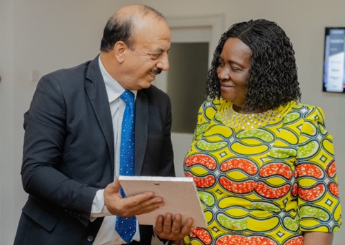 Vice President Opoku-Agyemang meets Palestinian envoy a day after hosting Israeli delegation  