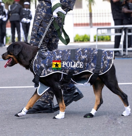 Tension in Akyem Asene over police deployment of over 100 heavily armed personnel