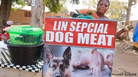 The law will end the slaughter and selling of dogs for their meat by 2027