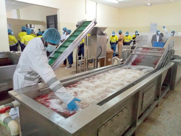 One of the workers washing pepper to process