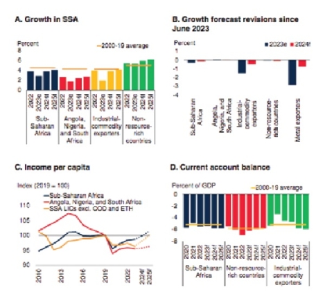 Sub-Sahara Africa growth firms up — World Bank