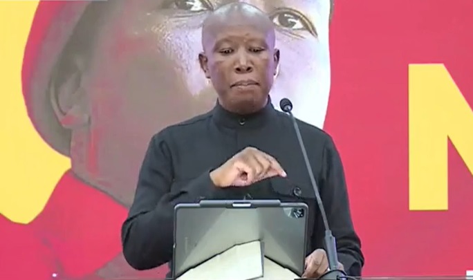 Former president should not make it his business to fight current president – Julius Malema