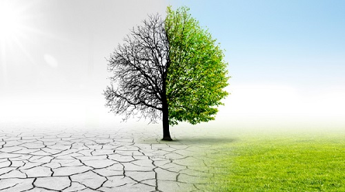 Climate change threatening working hours — ILO Coordinator