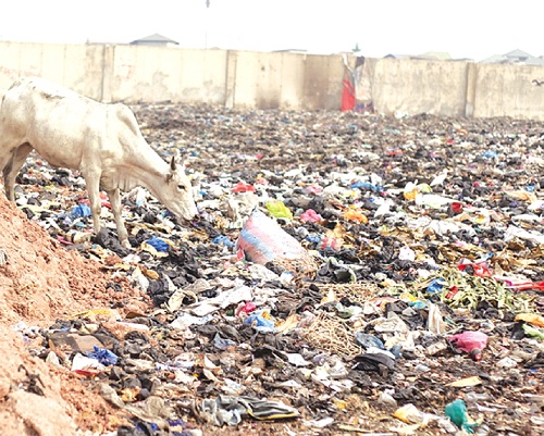  A portion of the Agbogbloshie land. Picture: Caleb Vanderpuye