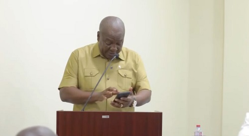 VIDEO: Former President Mahama criticizes 'excessive import levies and fees at ports'