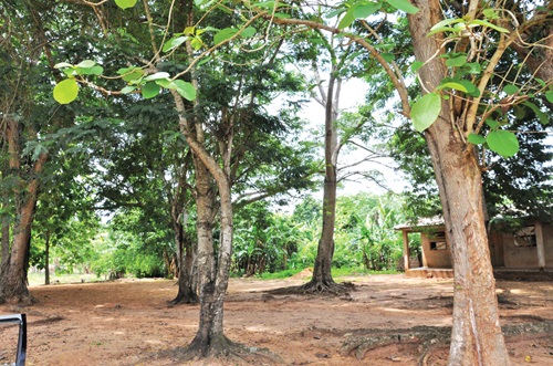  A woodlot and picnic ground in Lume-Kpodoave