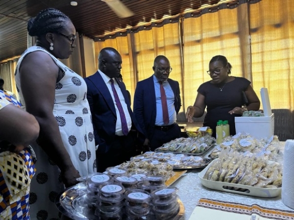 Project to boost cashew value chain begins