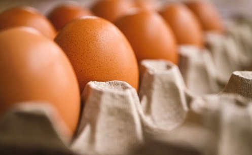 Eggs are high in protein
