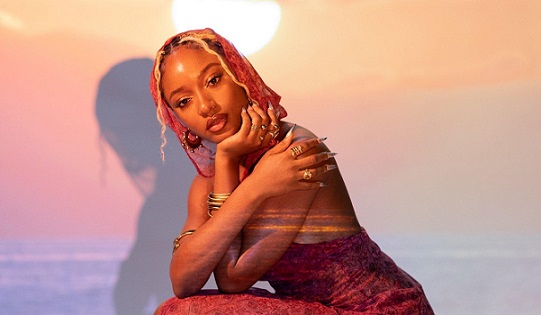 I won’t reply to Chris Brown tour criticism – Ayra Starr
